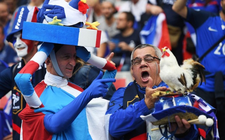 EURO 2016 opens in Paris - ảnh 4